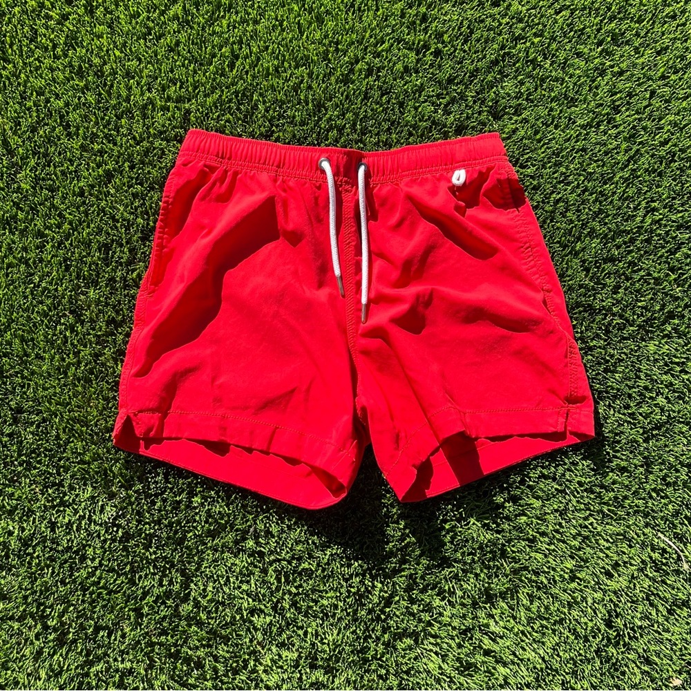 Abercrombie and Fitch Swim Trunks
